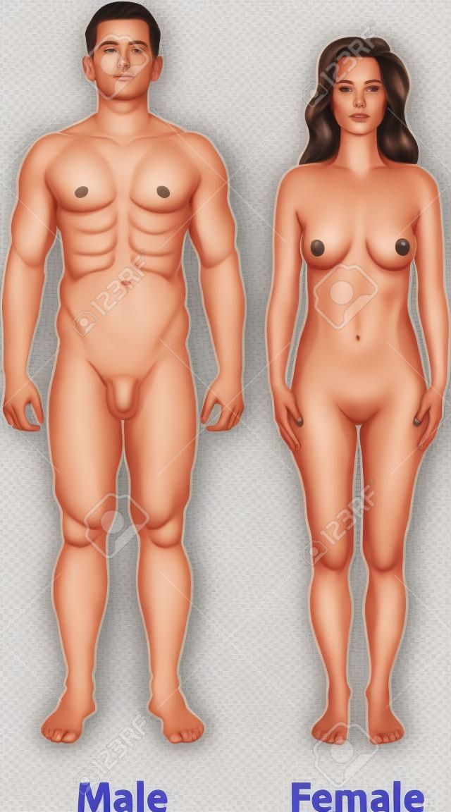 Male and female body posture.