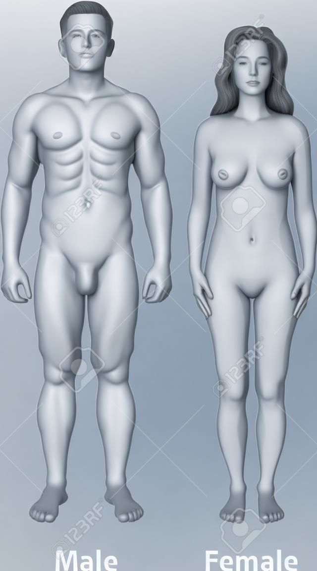 Male and female body posture.