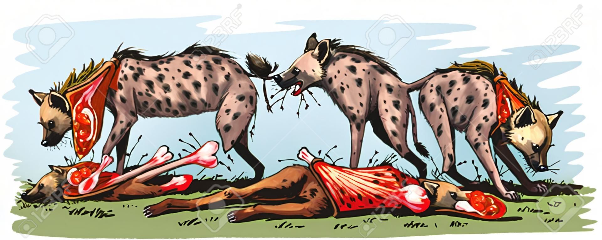 comer hienas