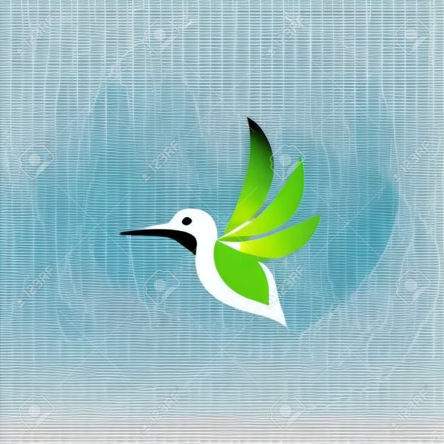 Humming bird Vector icon design illustration Template