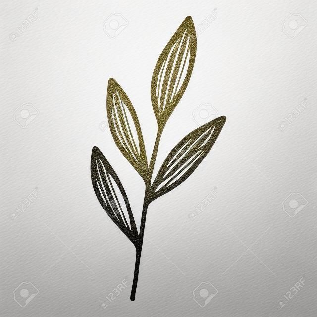 Garden leaf branch icon, hand drawn and outline style