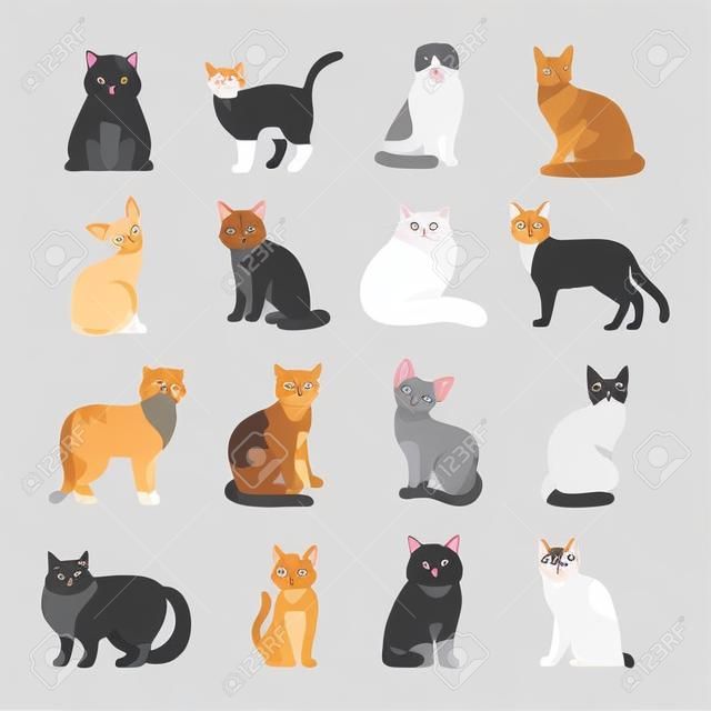 Kot rasy ładny zestaw ilustracji wektorowych zwierzę domowe. Kot rasy zwierząt i kreskówki różne koty. charakter, ssak, kot rasy zwierząt ikony ludzkiego przyjaciela. Charakter kota przyjaciela portret kotów.