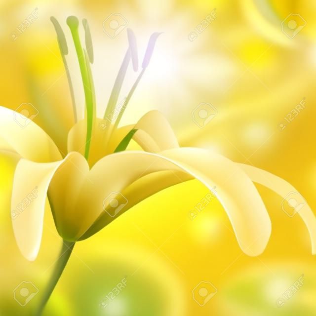 繊細な黄色の花の背景
