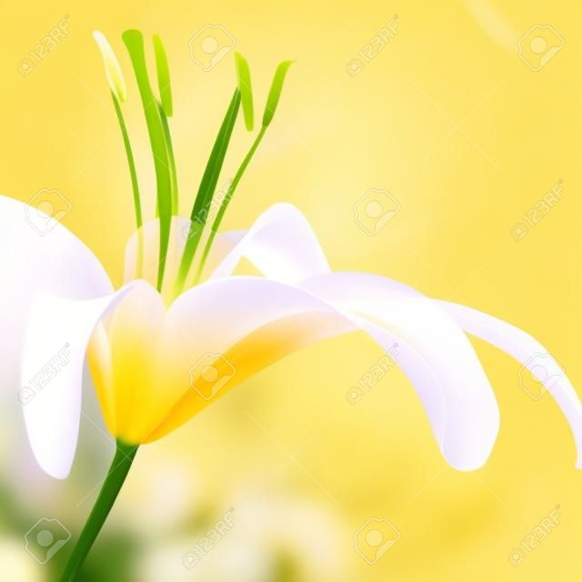 Zarte gelbe floral background