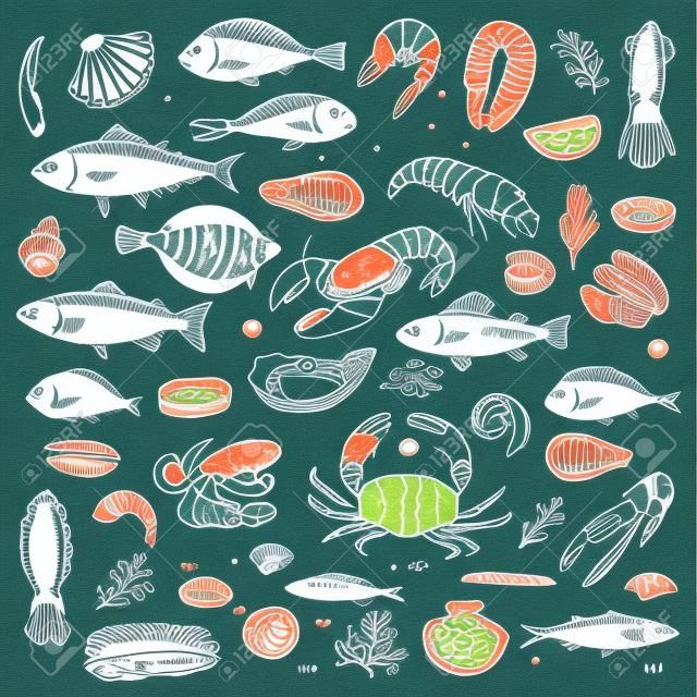 Seafood hand drawn doodle elements