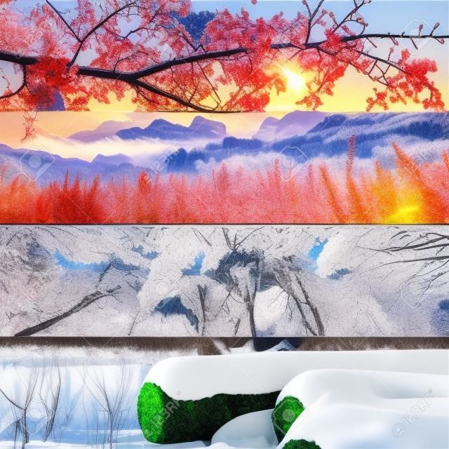Quatre saisons Printemps, été, automne et hiver bannières horizontales