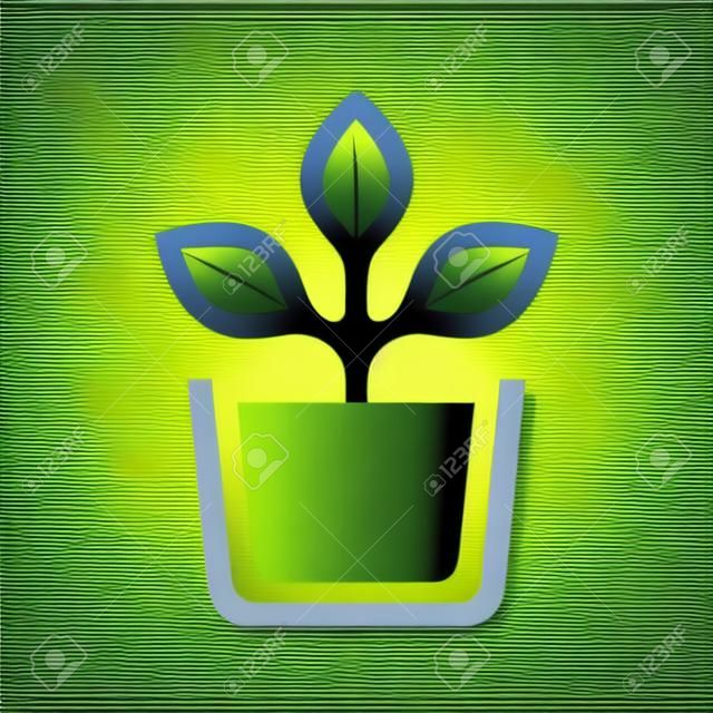 Plant in pot vector icon.