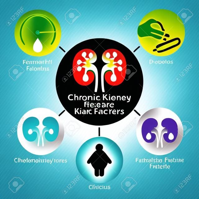factores de riesgo de enfermedad renal crónica infografía de icono de vector