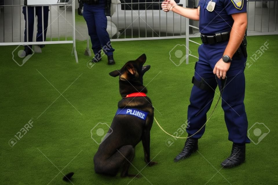 Policeman with Belgian Malinois police dog