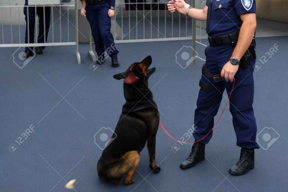 Policía con perro policía belga Malinois