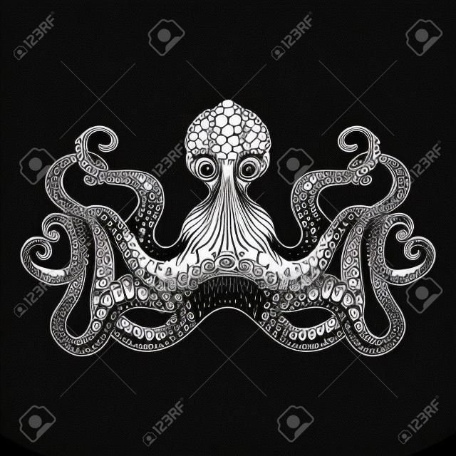 Staring octopus stylized character embroidery or engraving  pattern pictogram design print doodle black line abstract vector illustration