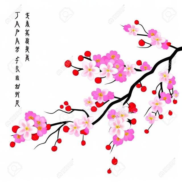 Realistico sakura Giappone ramo di ciliegio in fiore con fiori illustrazione vettoriale