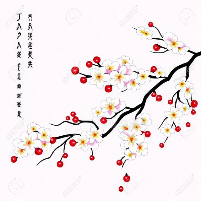 Realistic sakura japan cherry branch with blooming flowers vector illustration