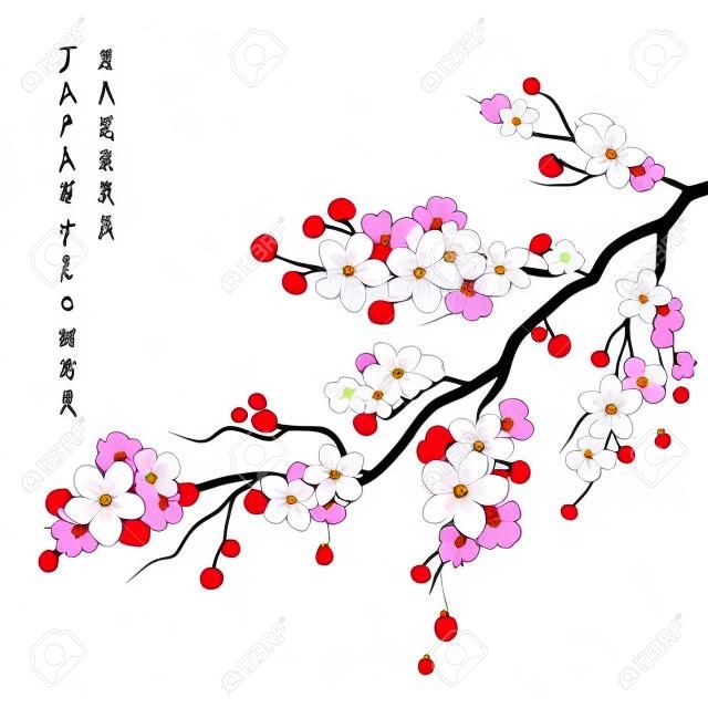 Realista sakura japão cereja ramo com flores florescendo ilustração vetorial