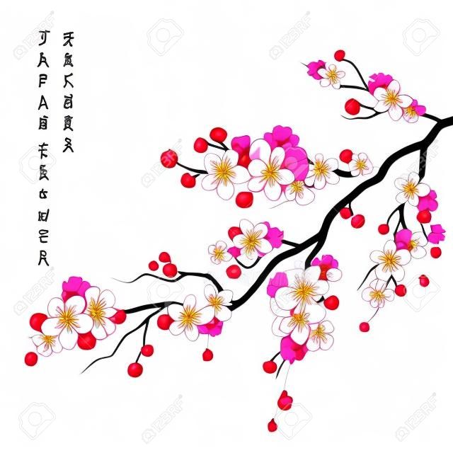 Realista sakura japão cereja ramo com flores florescendo ilustração vetorial