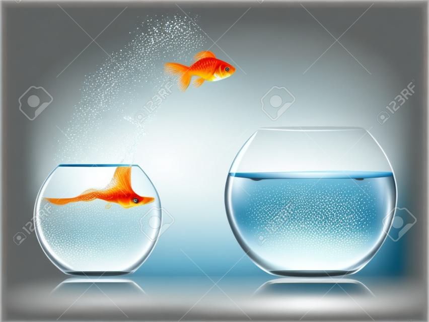 Goldfish jumping out one fishbowl to another aquarium with clear water against light checkered background poster vector illustration