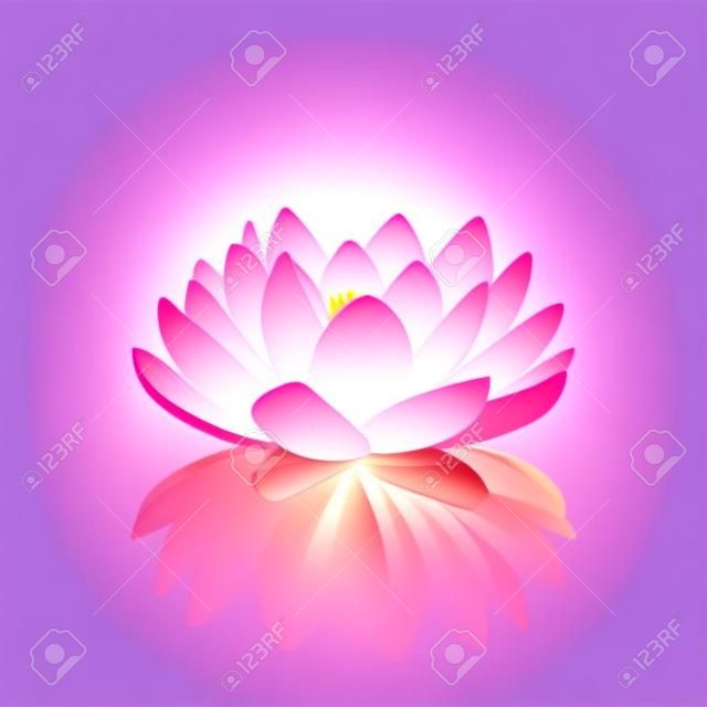 Isolierte Blume von Lotus mit hellrosa Blütenblätter mit Reflexion auf weißem Hintergrund 3D-Vektor-Illustration