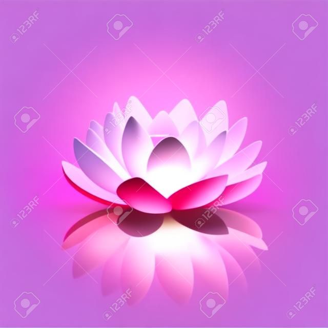 Isolierte Blume von Lotus mit hellrosa Blütenblätter mit Reflexion auf weißem Hintergrund 3D-Vektor-Illustration