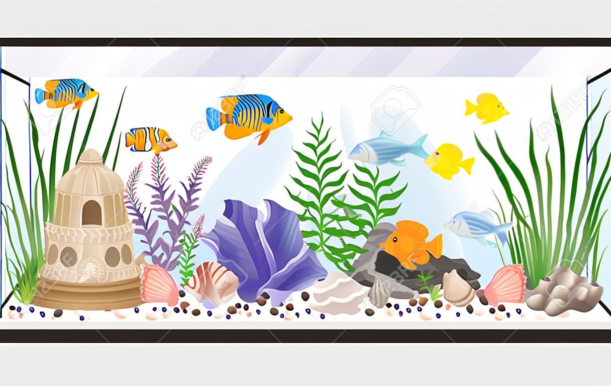 Aquarium tank cartoon vector illustration with swimming exotic freshwater fishes seashells seaweeds  equipment and accessories