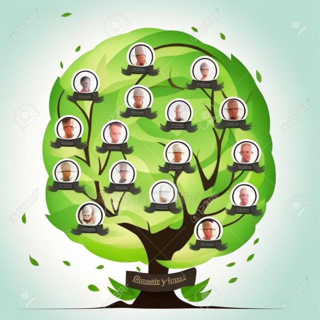 Modello genealogico dell'albero con le strutture rotonde per i ritratti dei familiari sull'illustrazione verde di vettore del fondo del fogliame