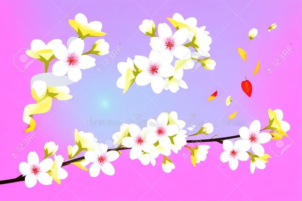リアルな咲く桜の花と花びらのベクトルイラストと透明な背景