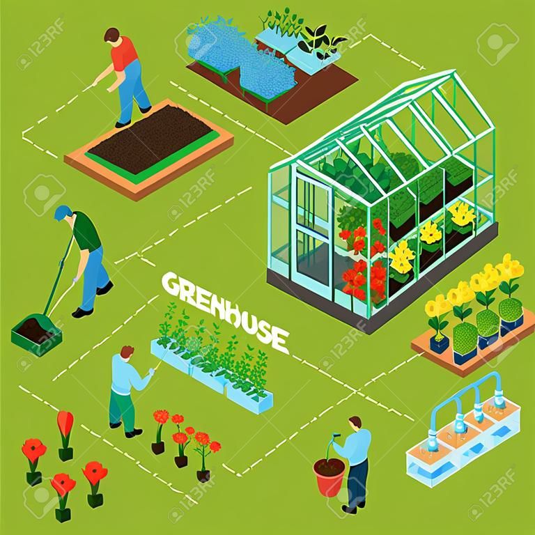 Greenhouse isometric flowchart composition with glasshouse herbs weeding flowers seedlings soil fertilizing irrigation vegetables harvesting vector illustration