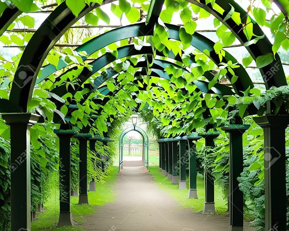 arch tunnel of greenery stretching away into the distance