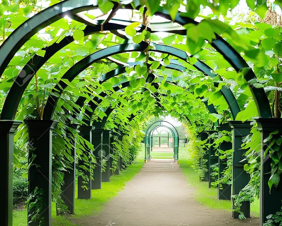 arch tunnel of greenery stretching away into the distance