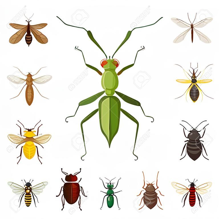 Ilustracja wektorowa logo owadów i much. zestaw symboli giełdowych owadów i elementów dla sieci.