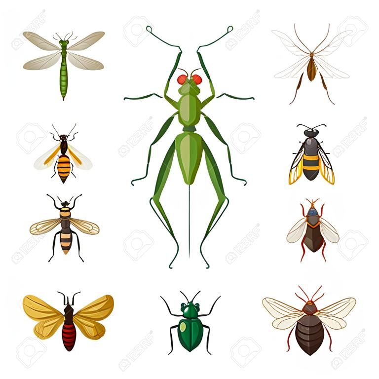 Ilustracja wektorowa logo owadów i much. zestaw symboli giełdowych owadów i elementów dla sieci.