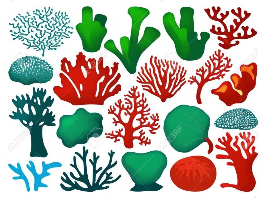 Sea coral vector illustration on white background. Vector cartoon set icon seaweed. Isolated cartoon set icons sea coral.