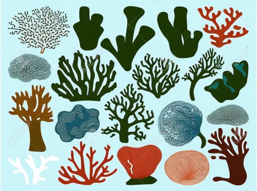 Sea coral vector illustration on white background. Vector cartoon set icon seaweed. Isolated cartoon set icons sea coral.