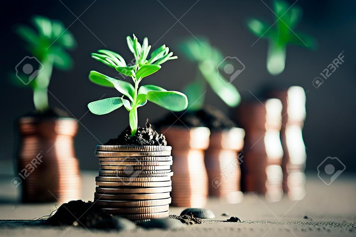 Coins with young plants in soil. Money growth concept