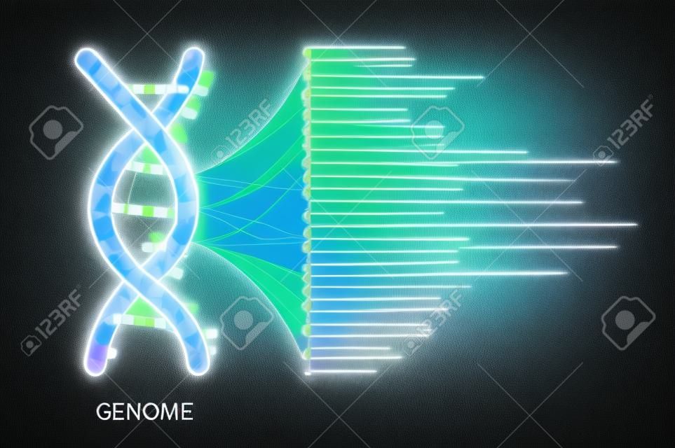 Big genomic data visualization. DNA test, genom map. Graphic concept for your design