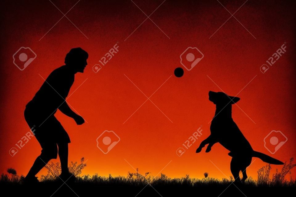一个带着狗在草地上的男人的剪影
