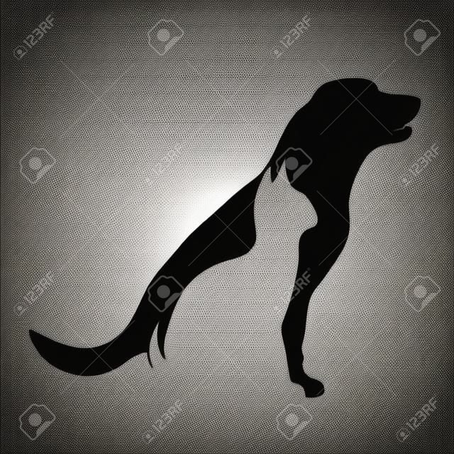 A Vector silhouette of dog and cat logo on white background.