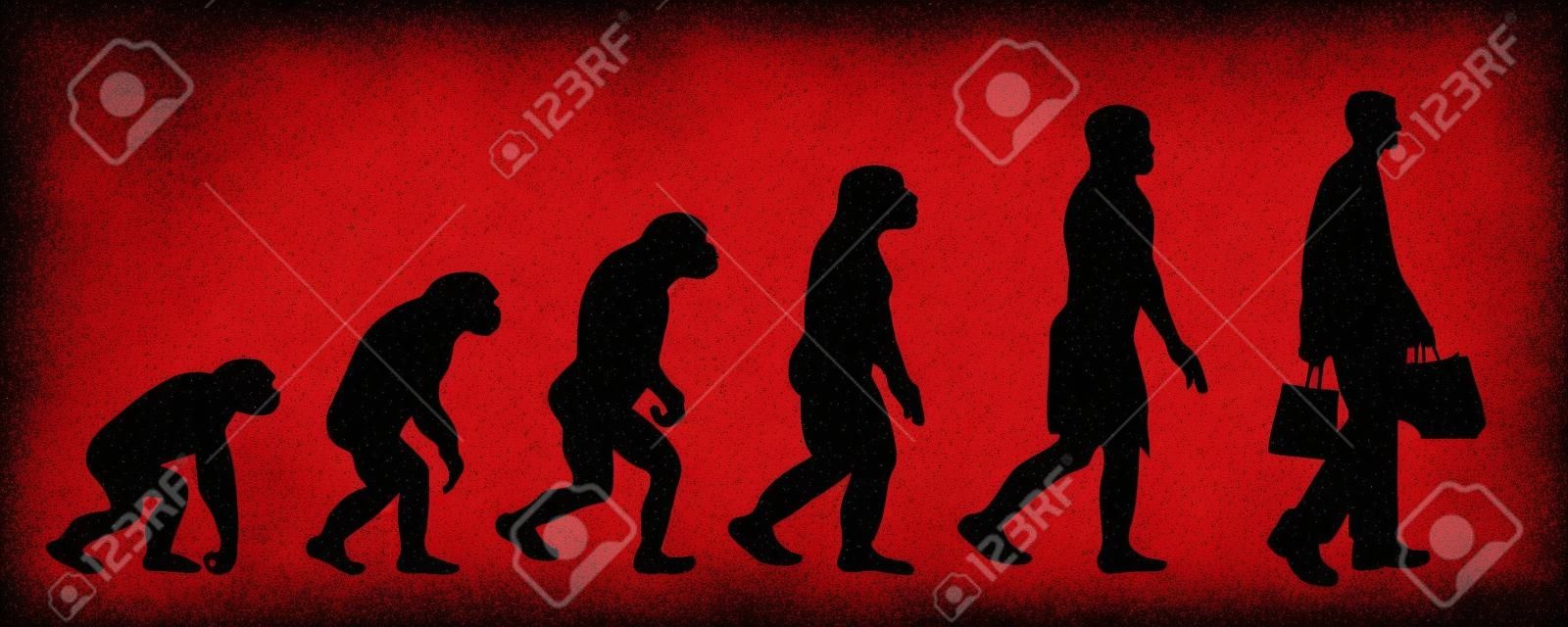 Gemalte Theorie der Evolution der Frau. Vektorsilhouette des Homo Sapiens. Symbol vom Affen zum Einkaufen.