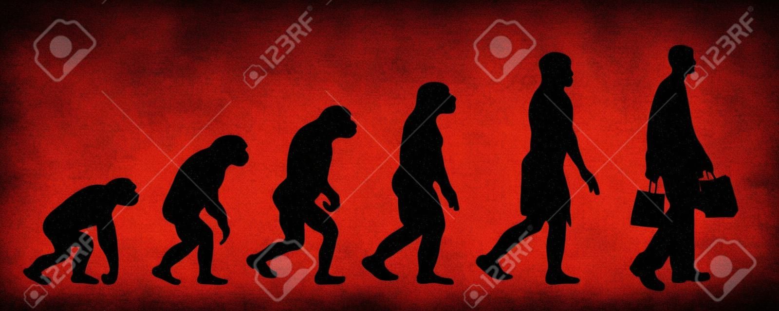 Teoría pintada de la evolución de la mujer. Silueta de vector de homo sapiens. Símbolo del mono a las compras.