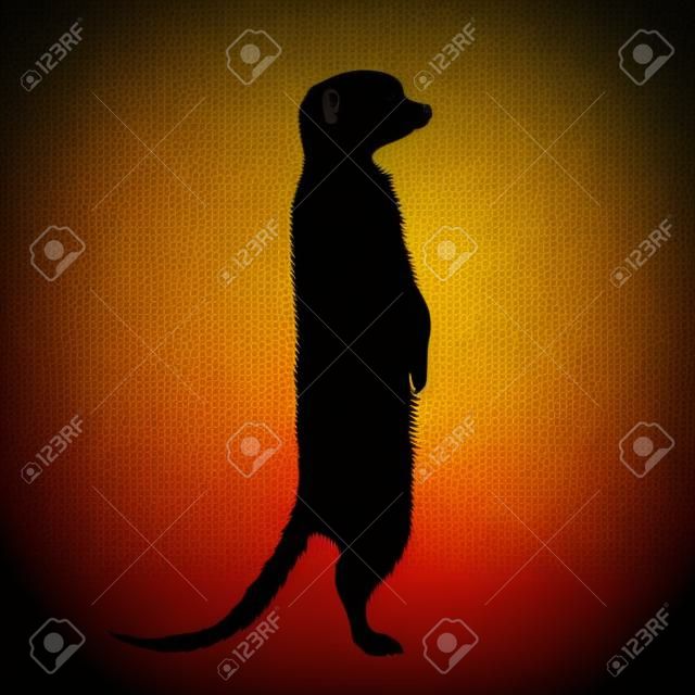 Vector silhouette of meerkat on white background. Symbol of animal.