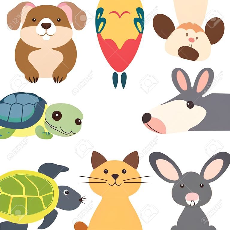 vector illustration of funny cartoon cute pets isolated on white, cute set with cat, dog, parrot, hamster, rabbit and turtle, domestic animals and birds in flat style