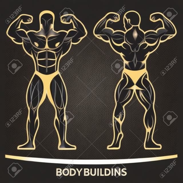 Bodybuilder две позиции, на фоне изолированных векторные иллюстрации.