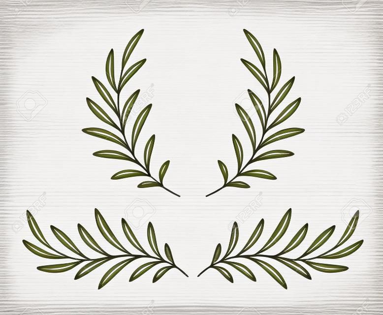 hand drawn olive branches and wreath on white