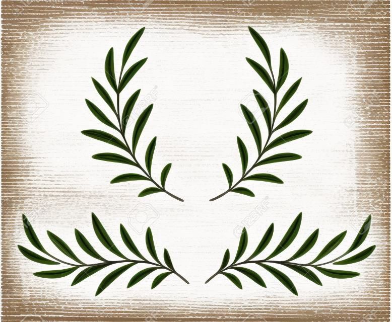handgezeichnete Olivenzweige mit Blättern und Kranz