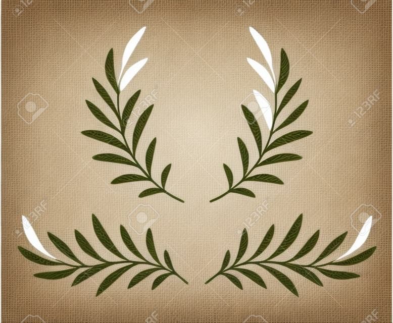 branches d'olivier dessinées à la main avec des feuilles et une couronne