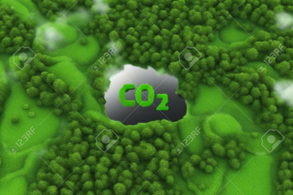 Concept raffigurante il problema delle emissioni di anidride carbonica e il suo impatto sulla natura sotto forma di un laghetto a forma di simbolo di co2 situato in una foresta lussureggiante. rendering 3D.