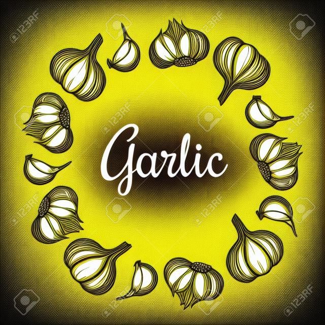 Vector garlic wreath for menu, posters. Isolated spice product. Hand drawn retro plant.