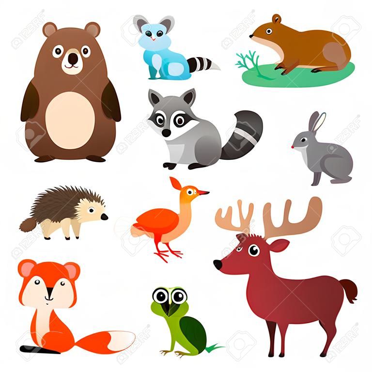 Grote vector set bosdieren in cartoon stijl, geïsoleerd op witte achtergrond. Vector illustratie ontwerp template