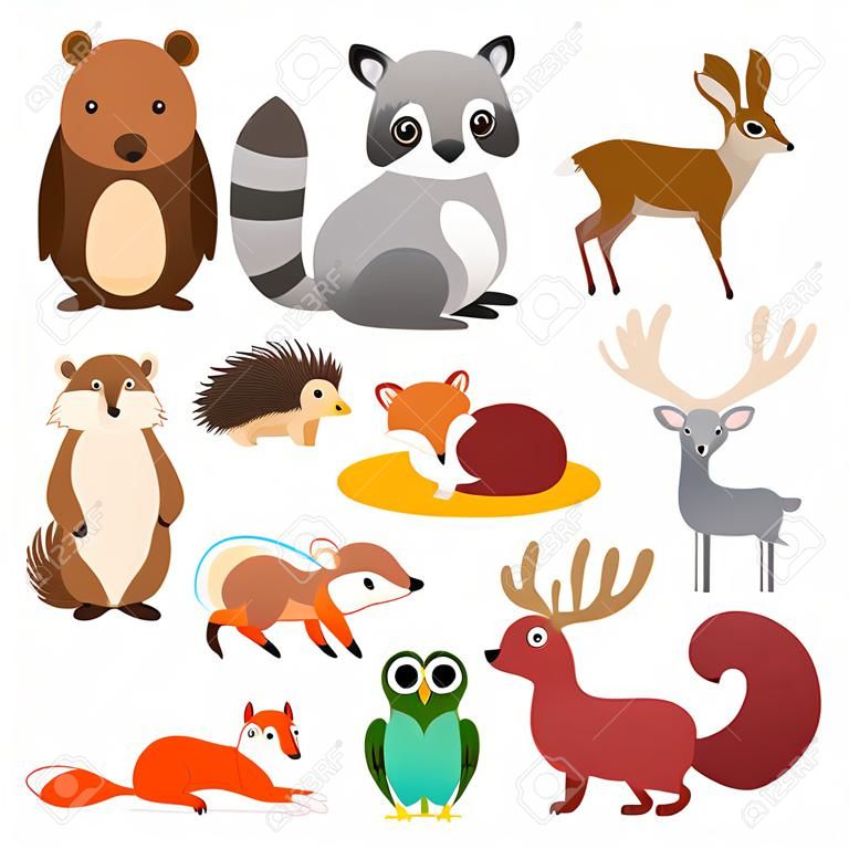 Vector grande establece animales del bosque en estilo de dibujos animados, aislado sobre fondo blanco. Plantilla de diseño de ilustración vectorial