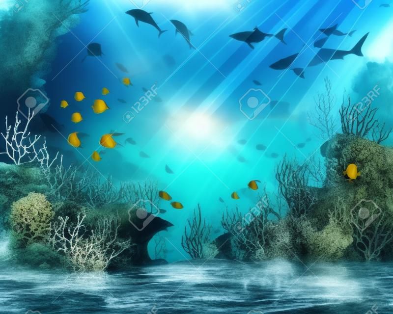 Sea underwater. Ocean bottom with seaweeds. Marine scene