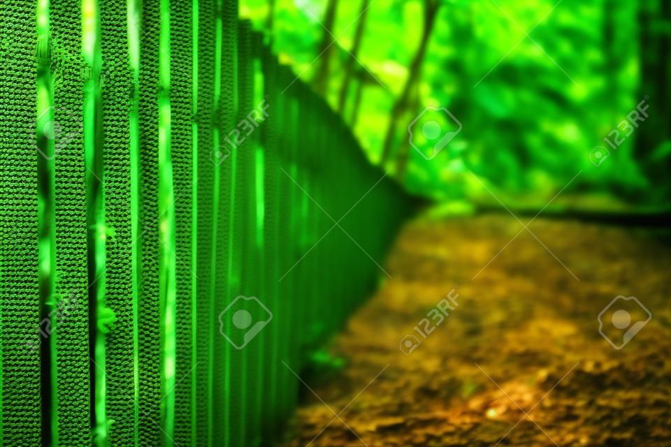 Fence and Handrail in tropical rainforest